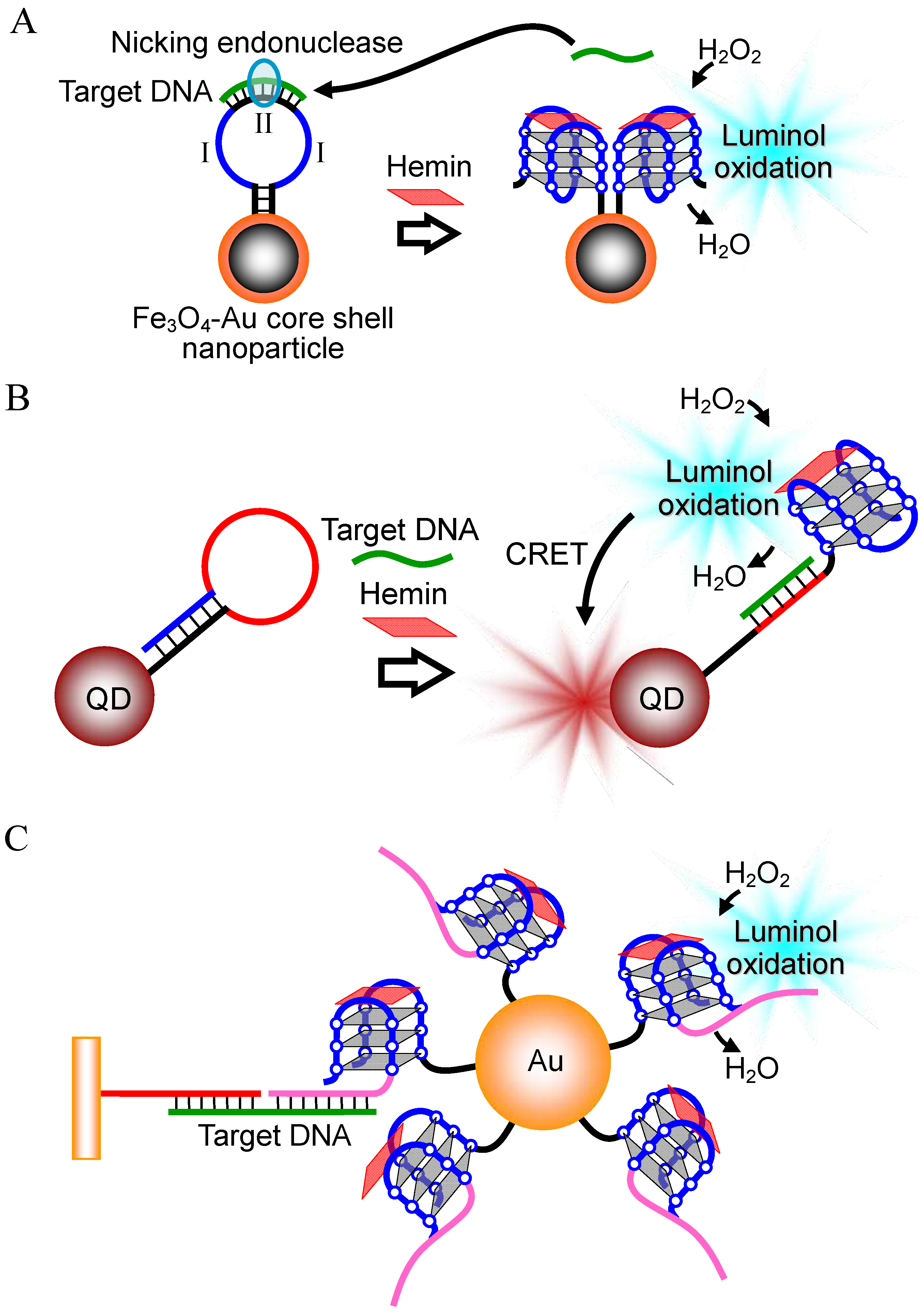 Molecules 17 10586 g009