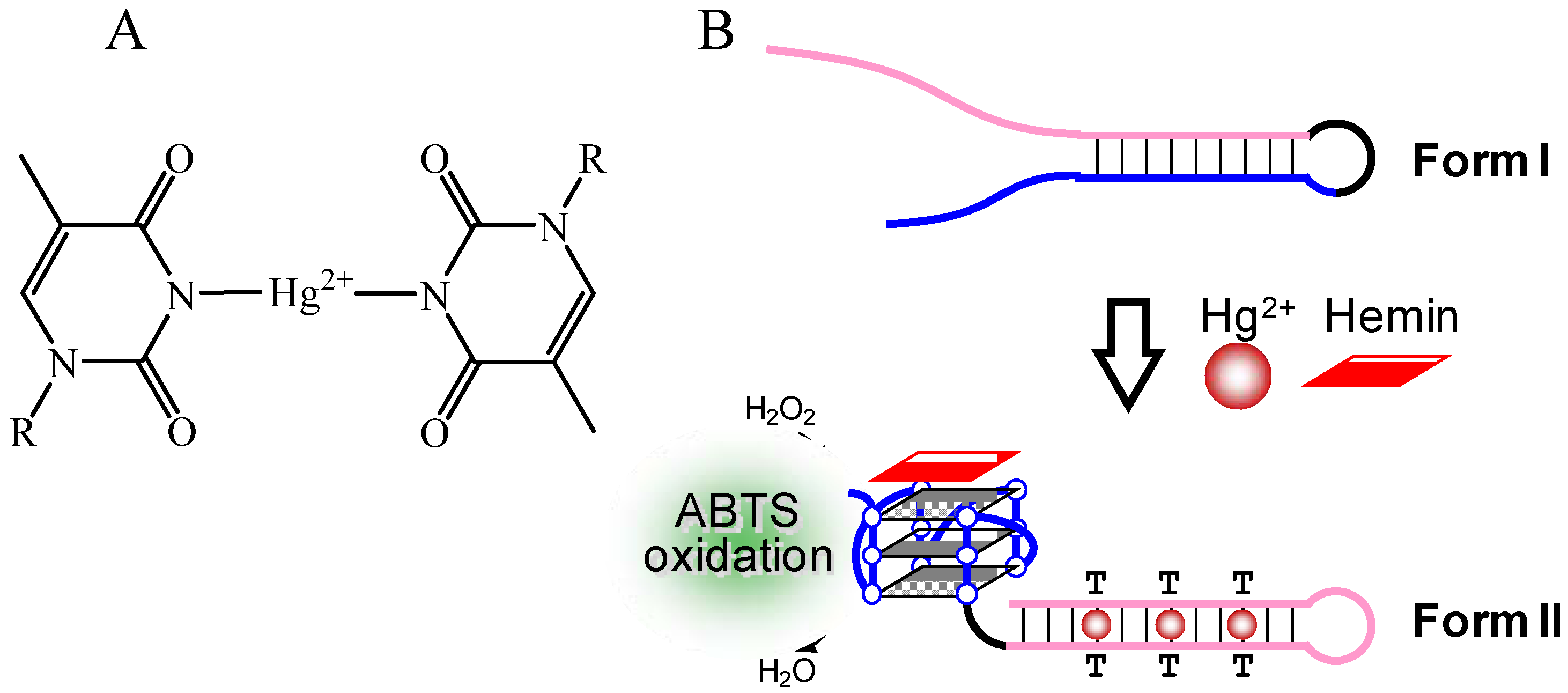Molecules 17 10586 g012