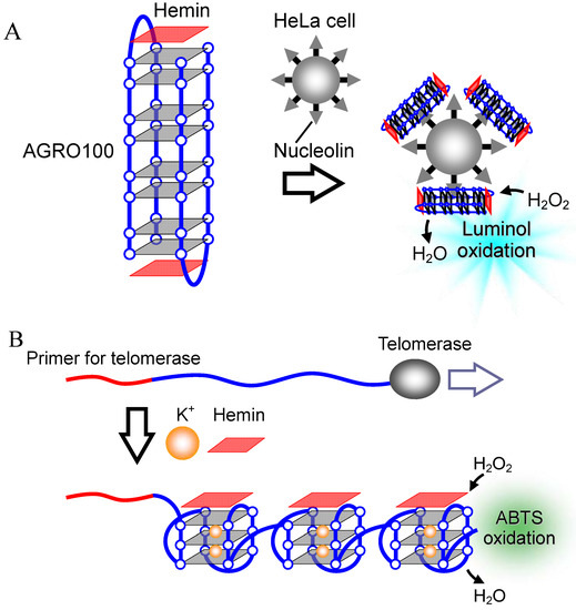 Molecules 17 10586 g015 550