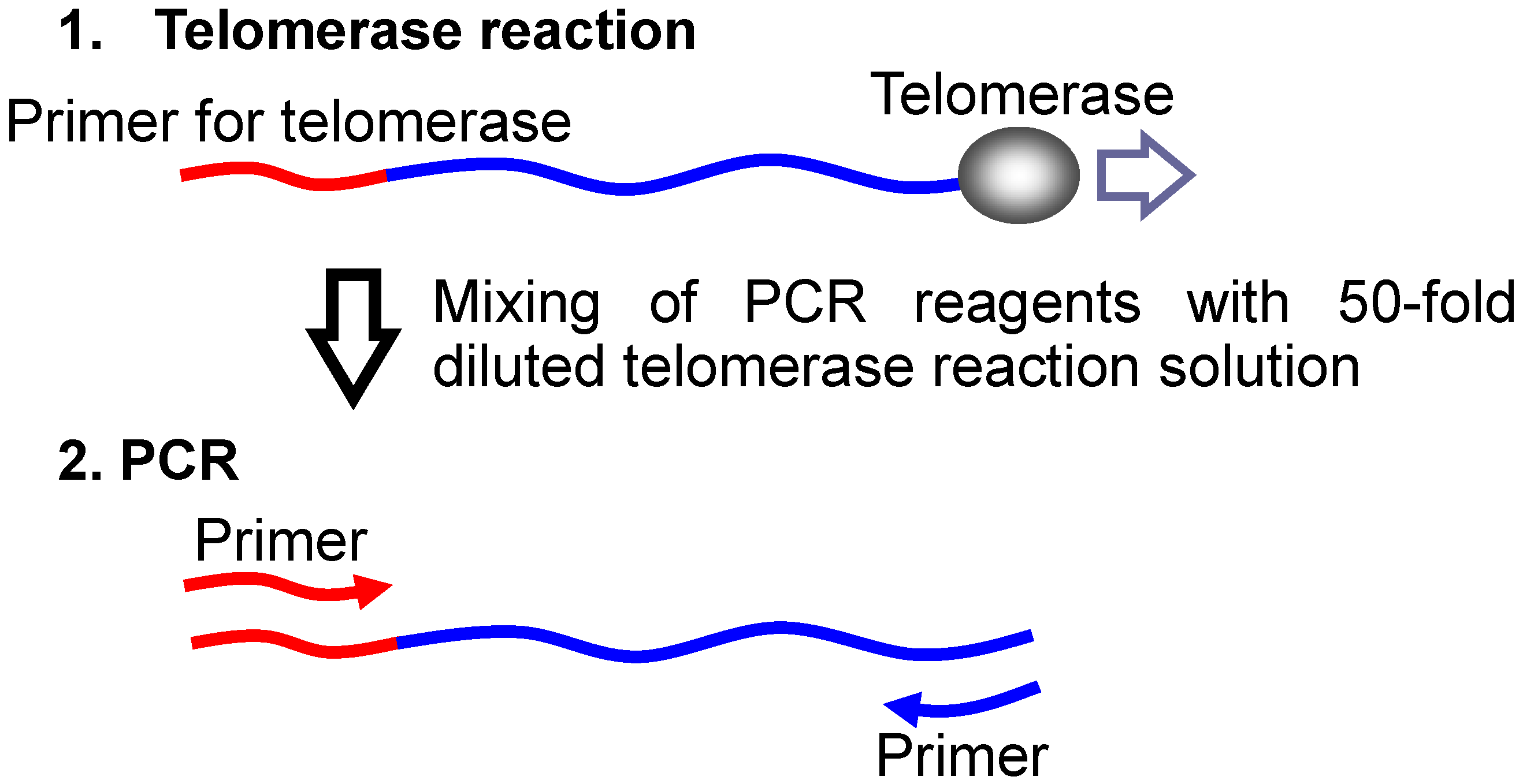 Molecules 17 10586 g016