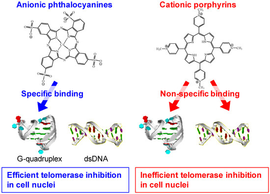 Molecules 17 10586 g017 550
