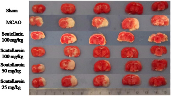 Molecules 17 10667 g001 550