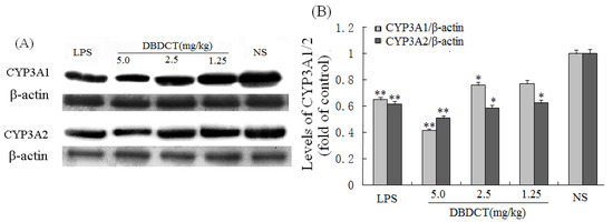 Molecules 17 10994 g002 550