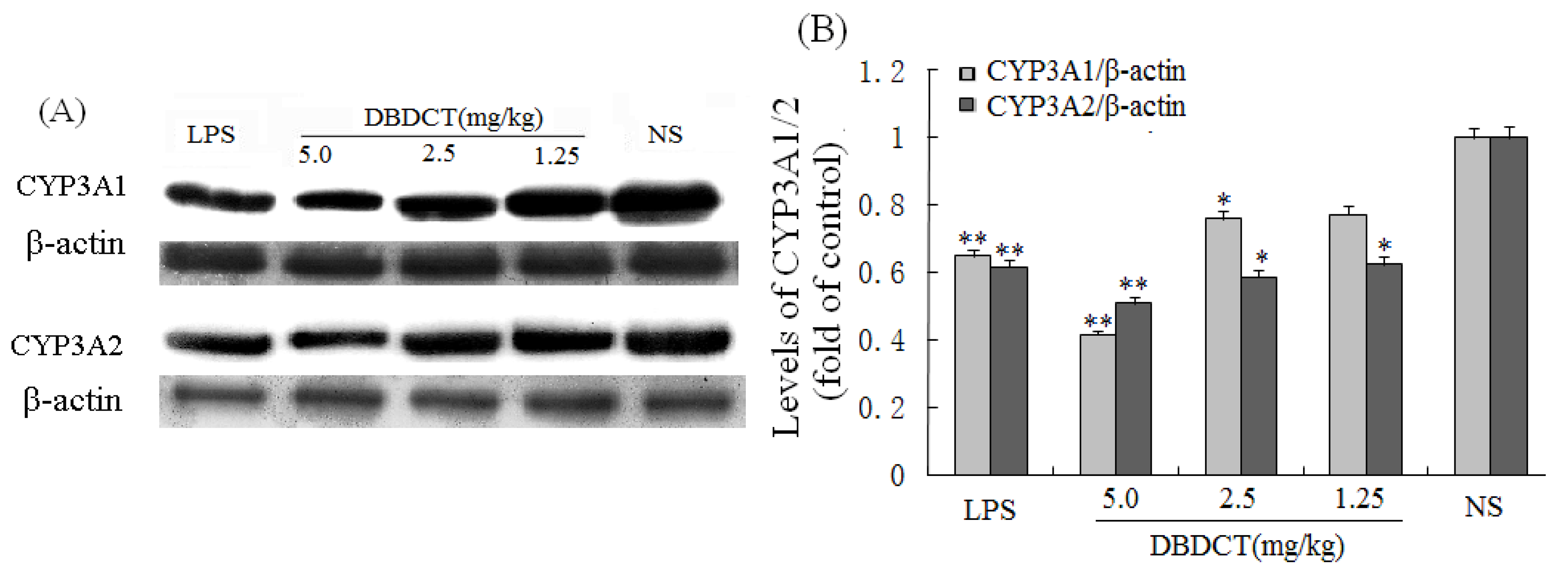 Molecules 17 10994 g002