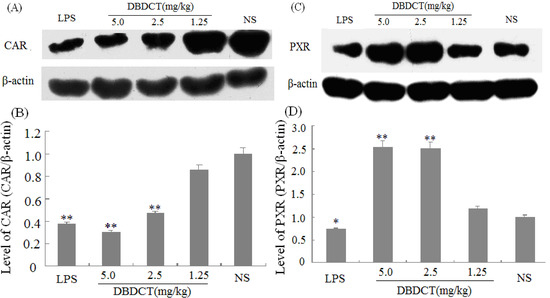 Molecules 17 10994 g004 550