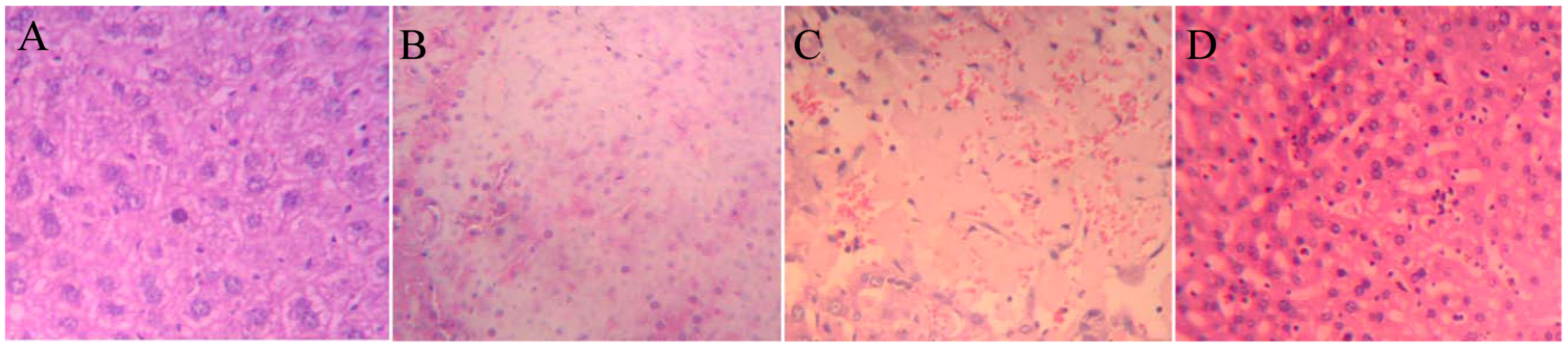 Molecules 17 10994 g006