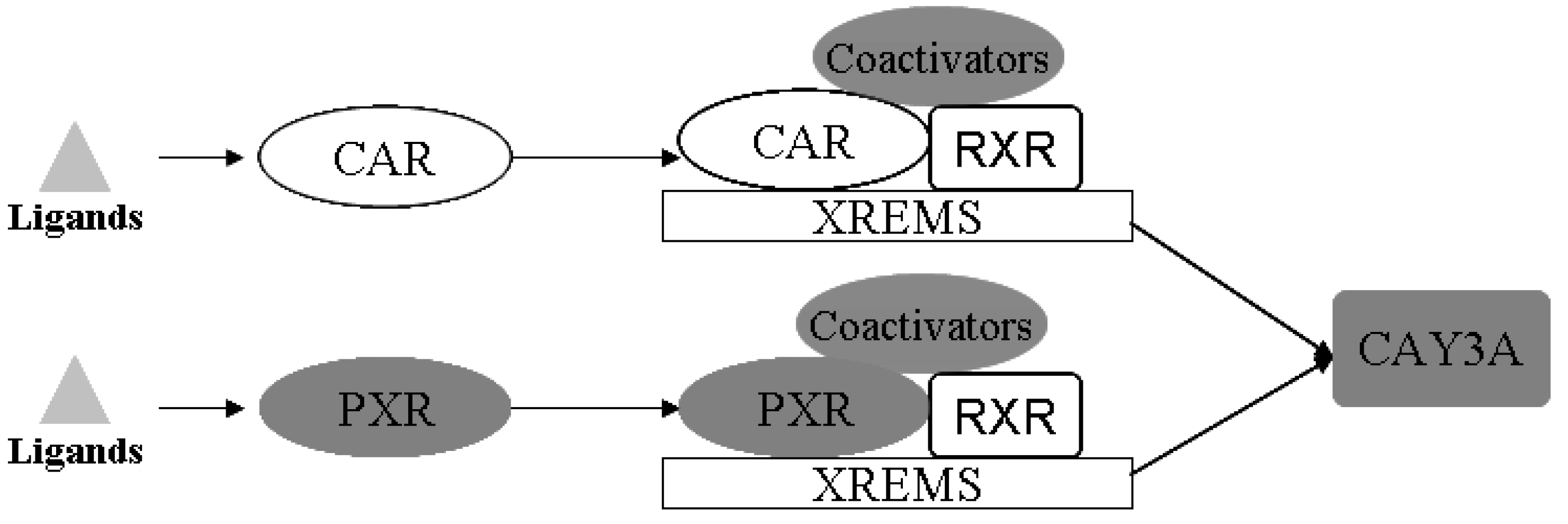 Molecules 17 10994 g010