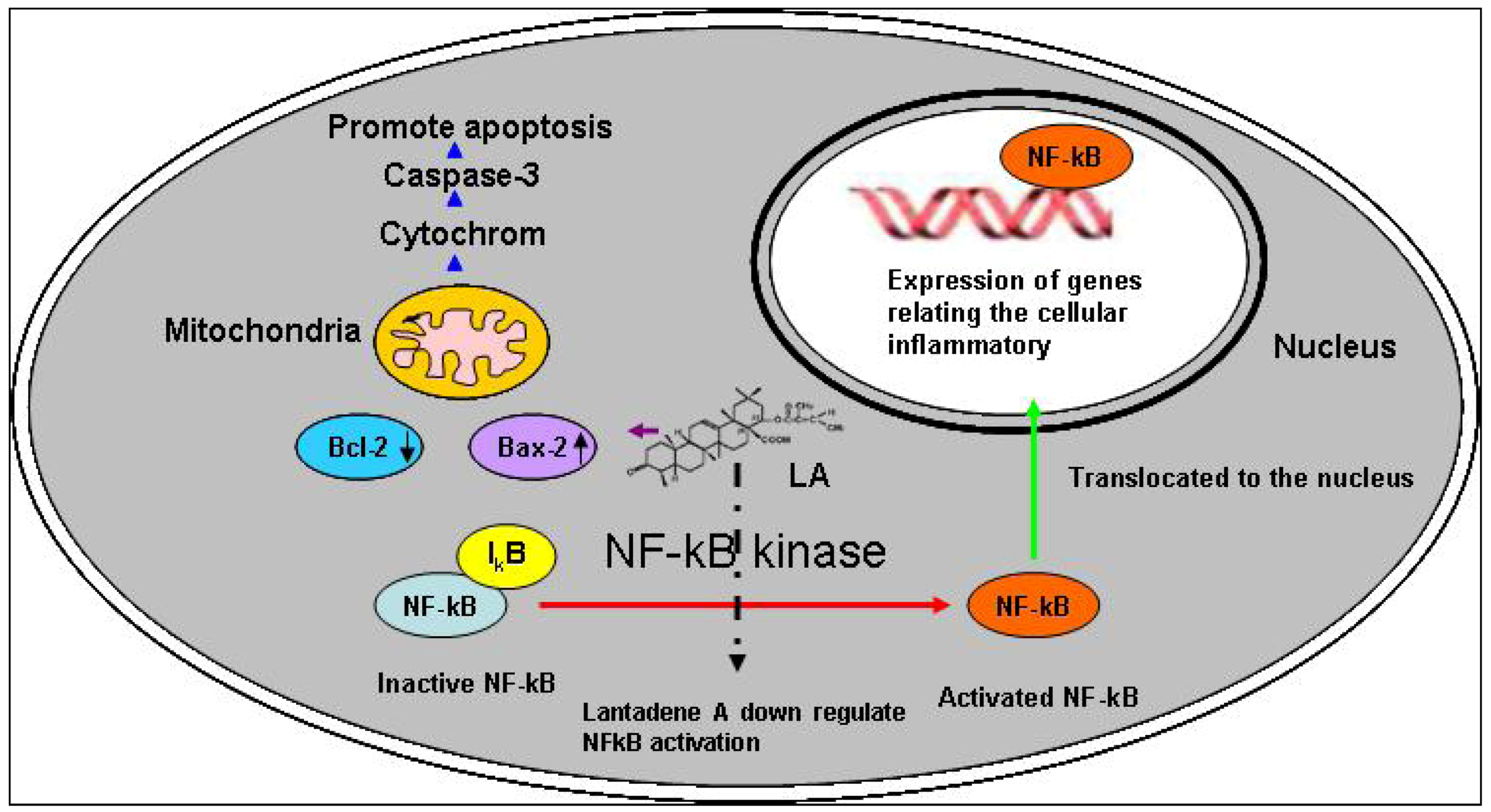 Molecules 17 11185 g008