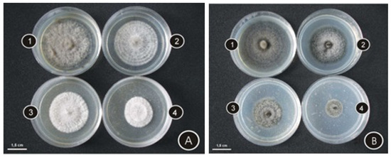 Molecules 17 11447 g001 550