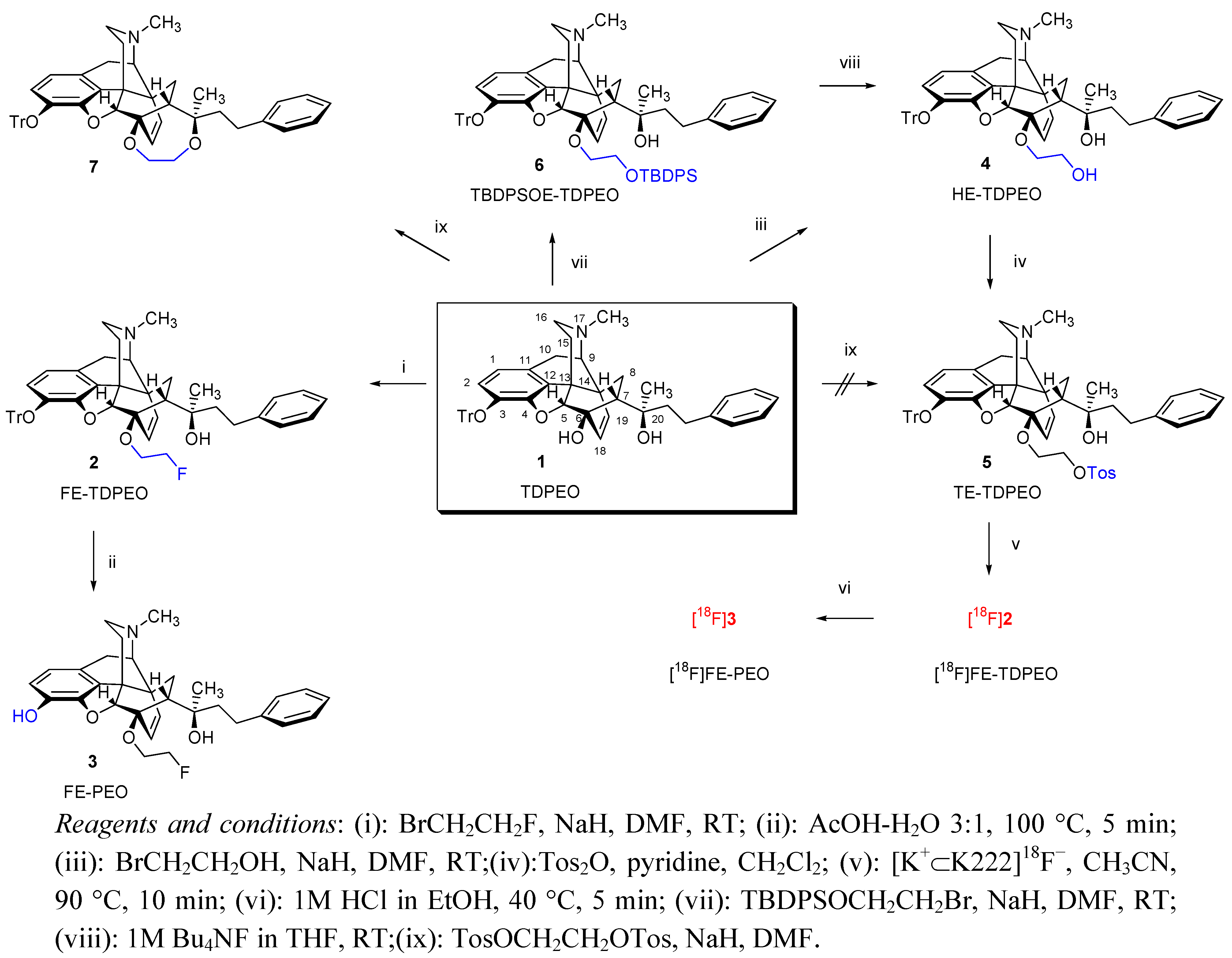 Molecules 17 11554 g001