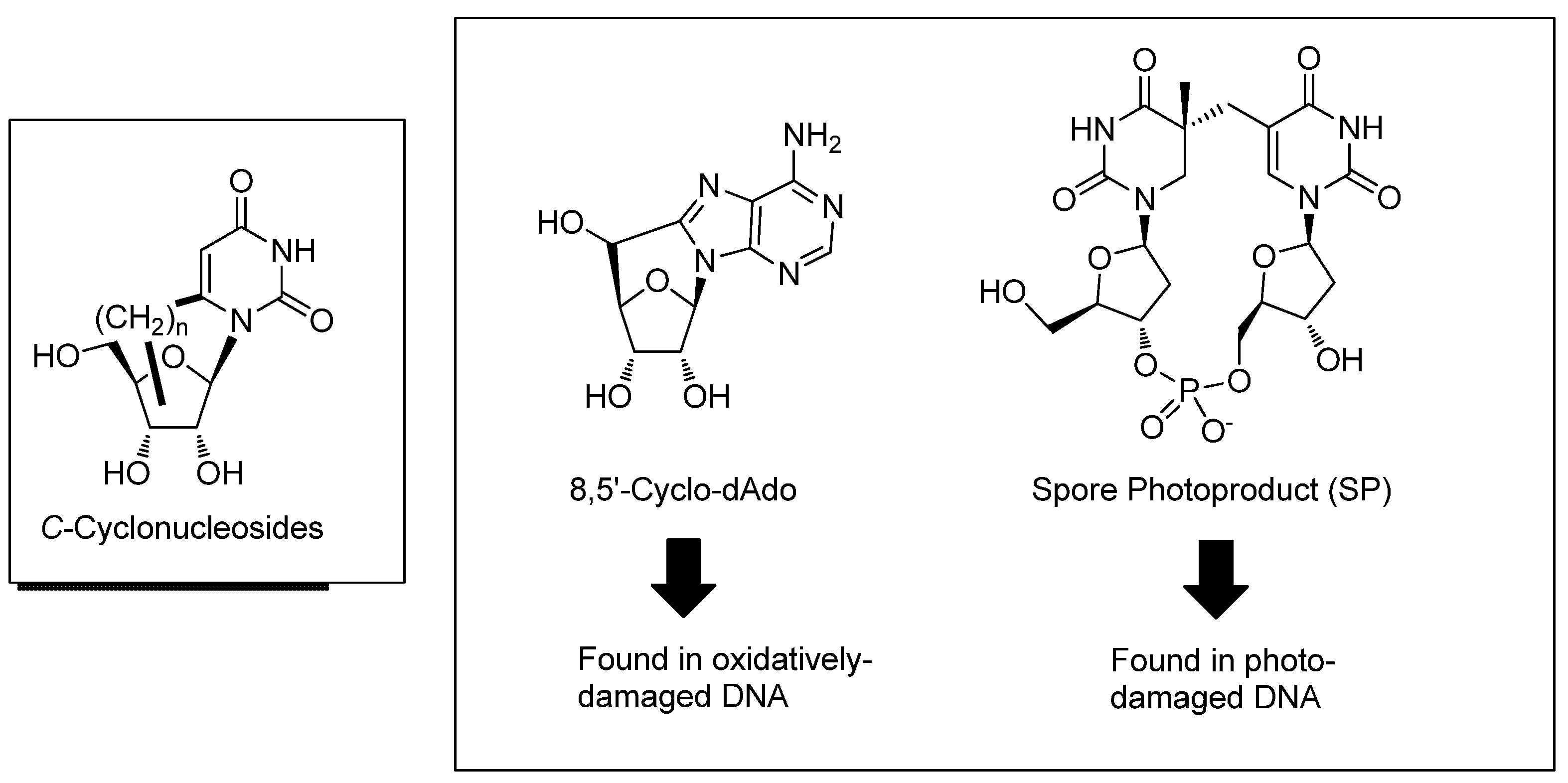 Molecules 17 11630 g002