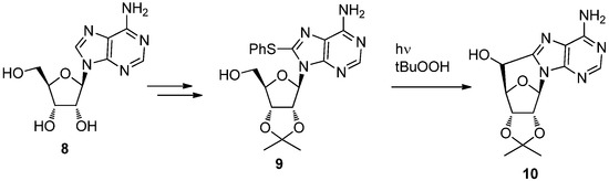 Molecules 17 11630 g007 550