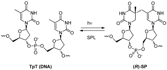Molecules 17 11630 g019 550