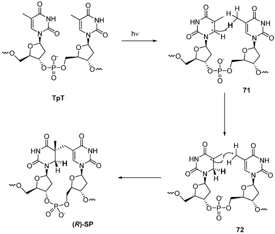 Molecules 17 11630 g021 550