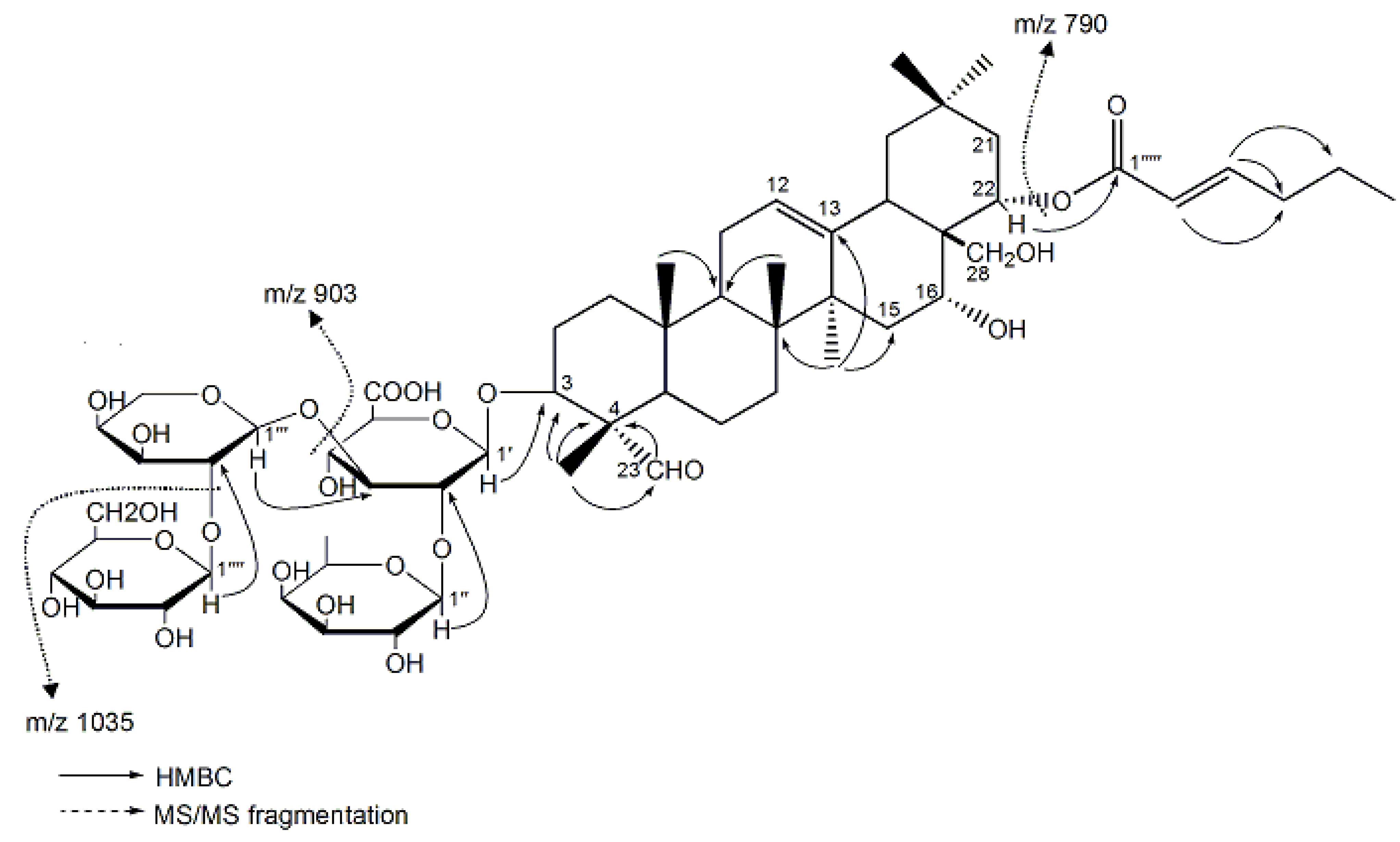 Molecules 17 11721 g001