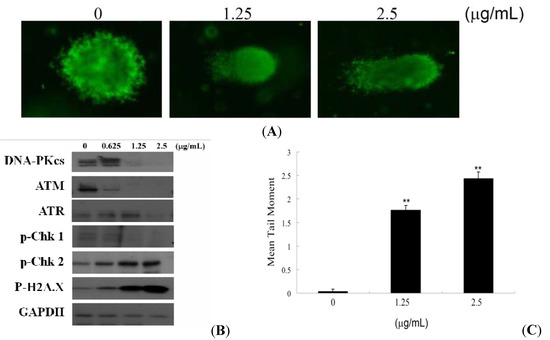 Molecules 17 11839 g003 550