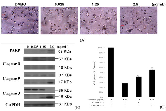 Molecules 17 11839 g004 550