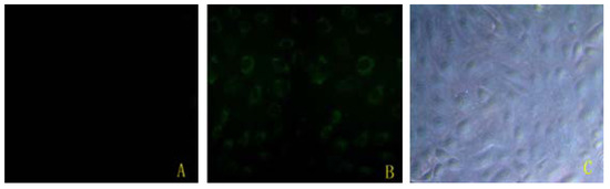 Molecules 17 12037 g001 550