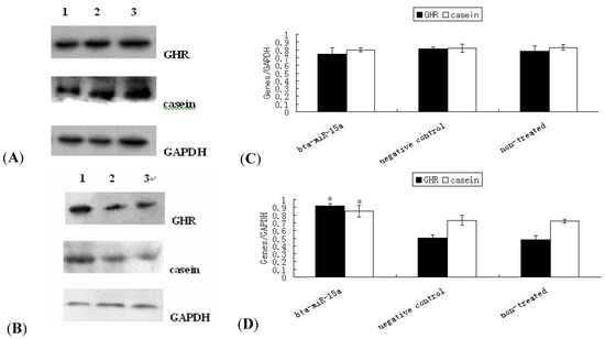 Molecules 17 12037 g004 550