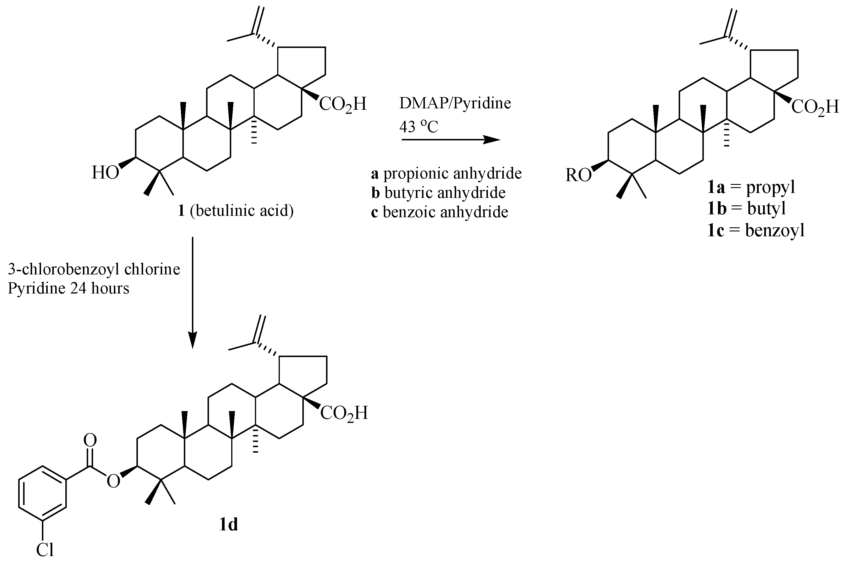 Molecules 17 12197 g001