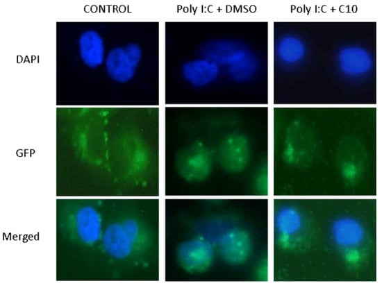 Molecules 17 12365 g002 550