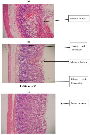 Molecules 17 12449 g002 550