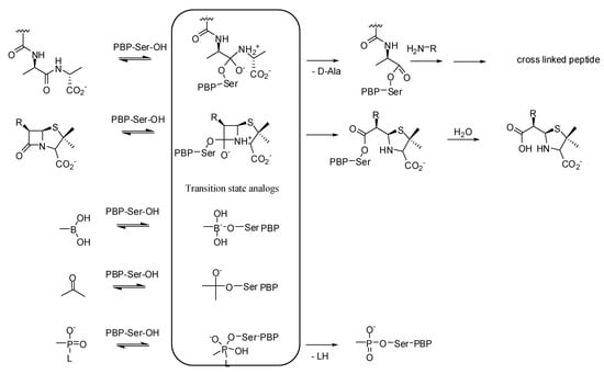 Molecules 17 12478 g002 550