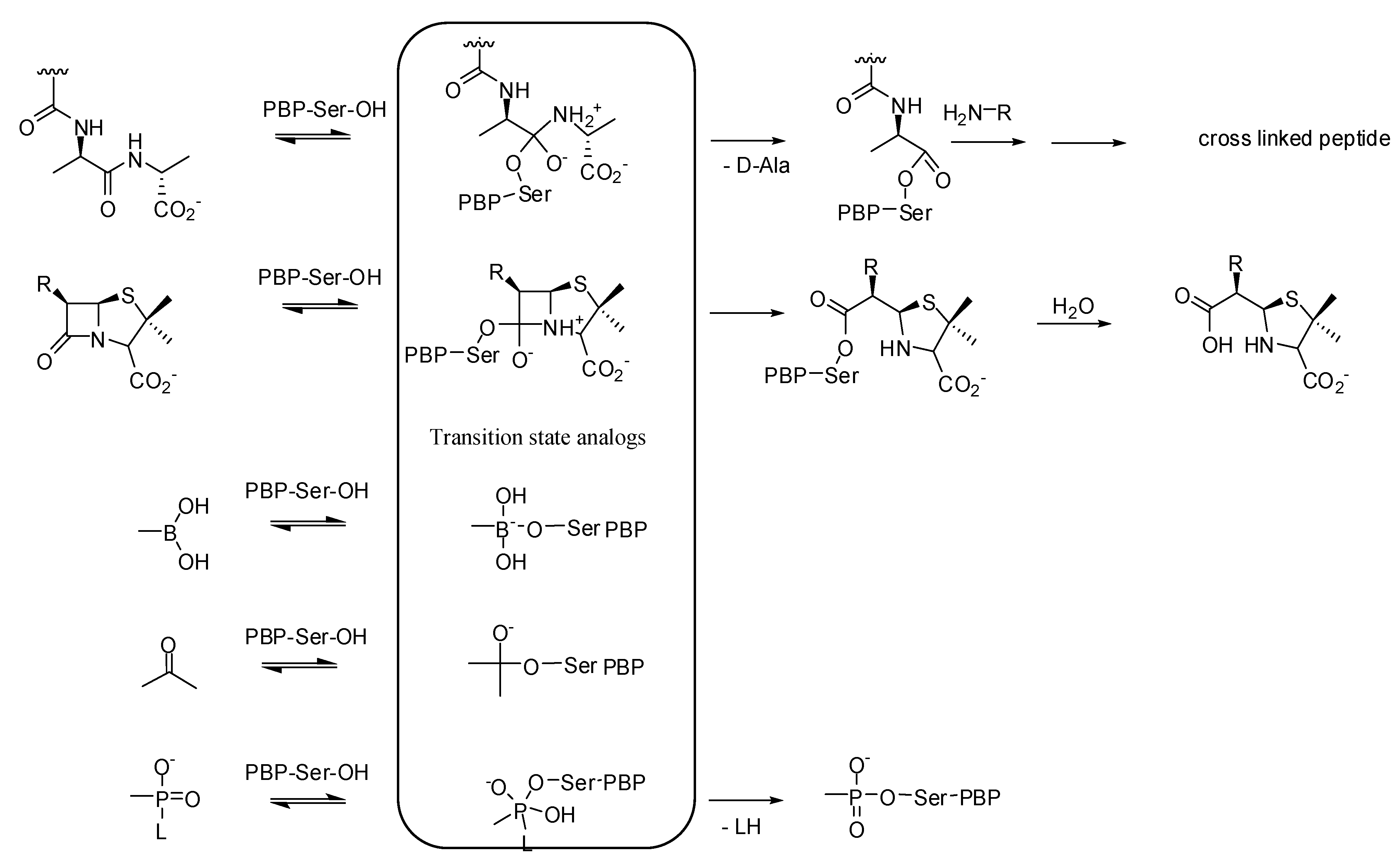 Molecules 17 12478 g002