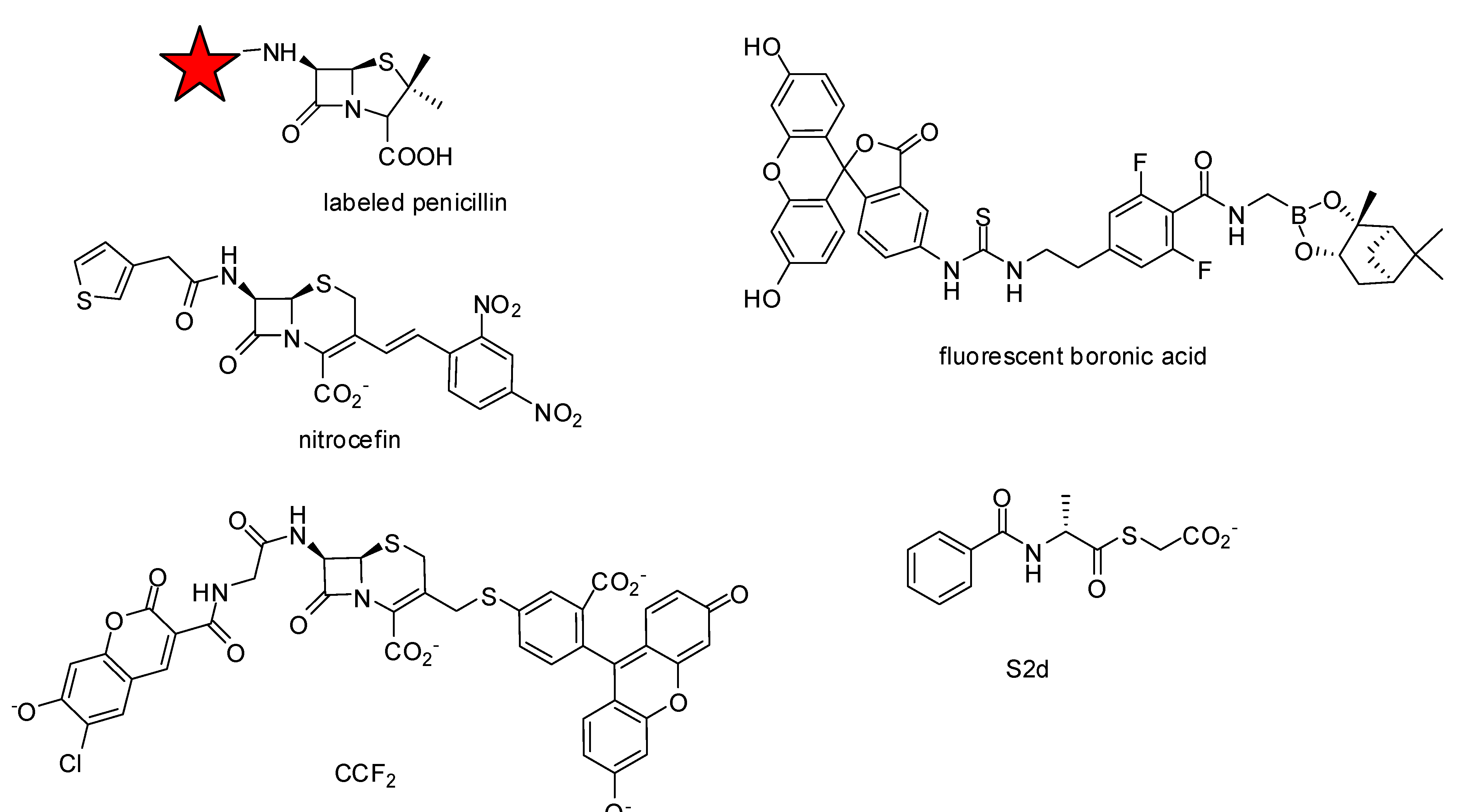 Molecules 17 12478 g004