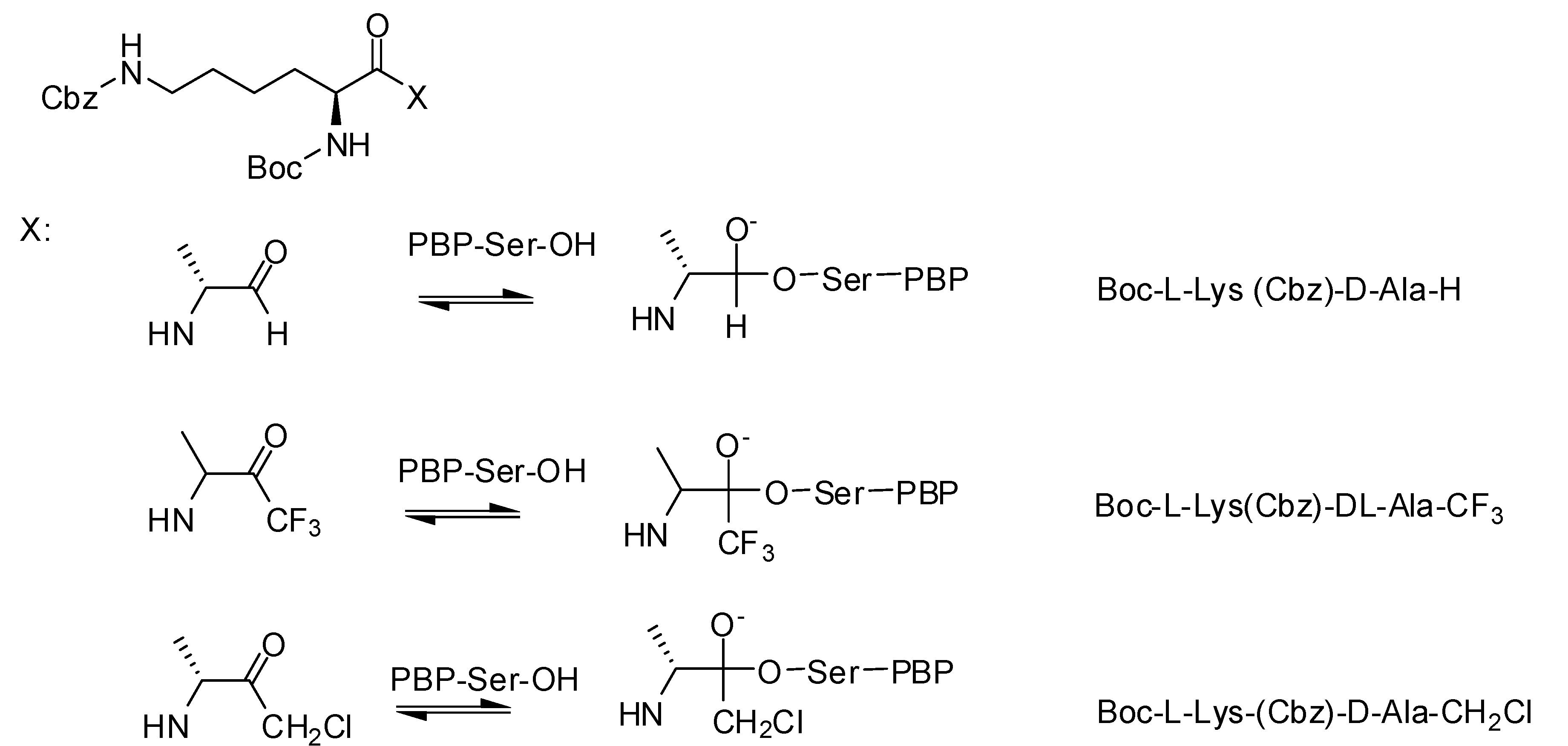 Molecules 17 12478 g008
