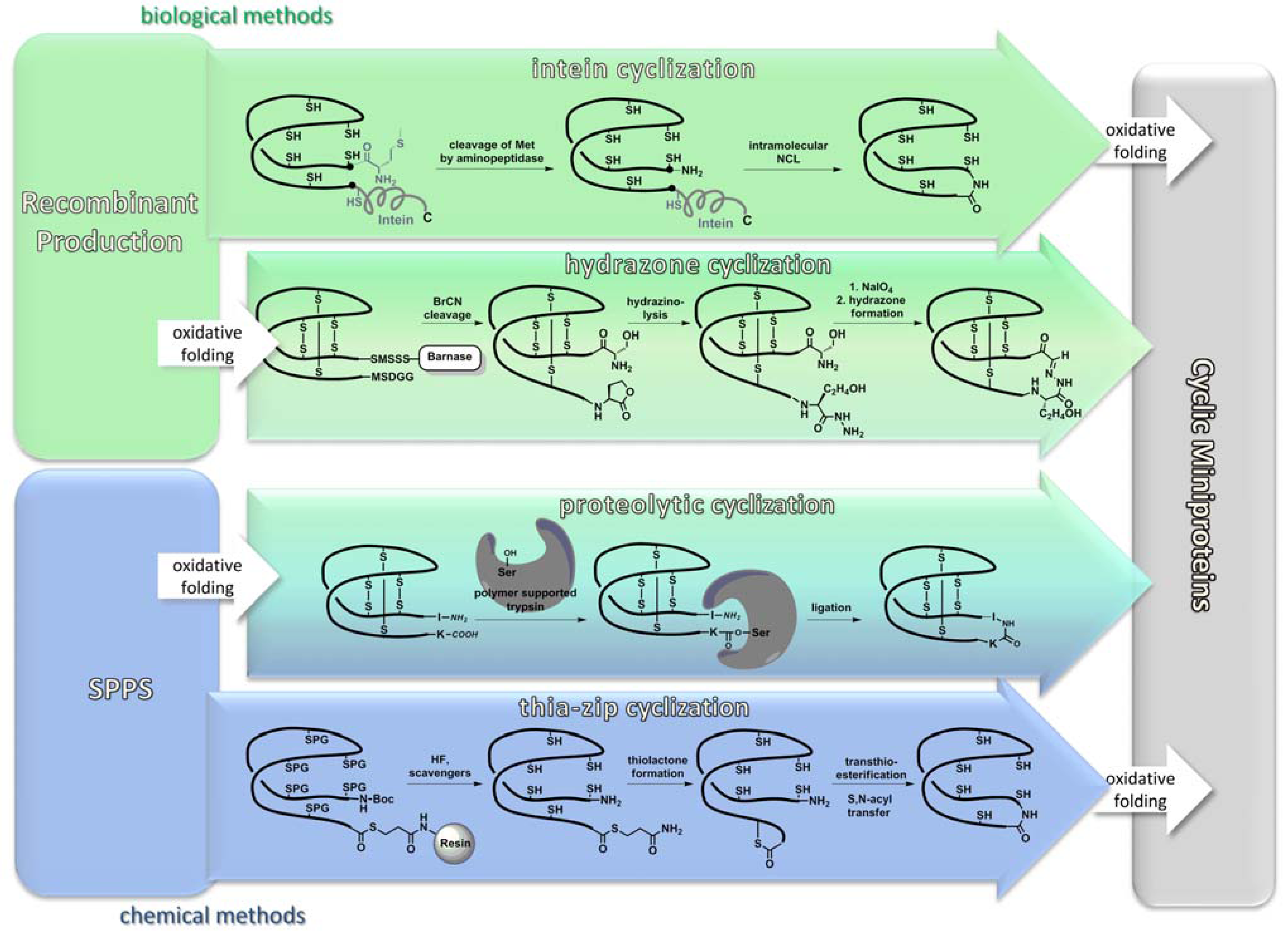 Molecules 17 12533 g003