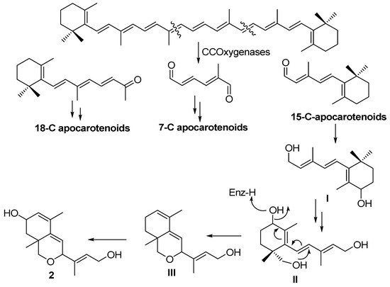 Molecules 17 12553 g005 550