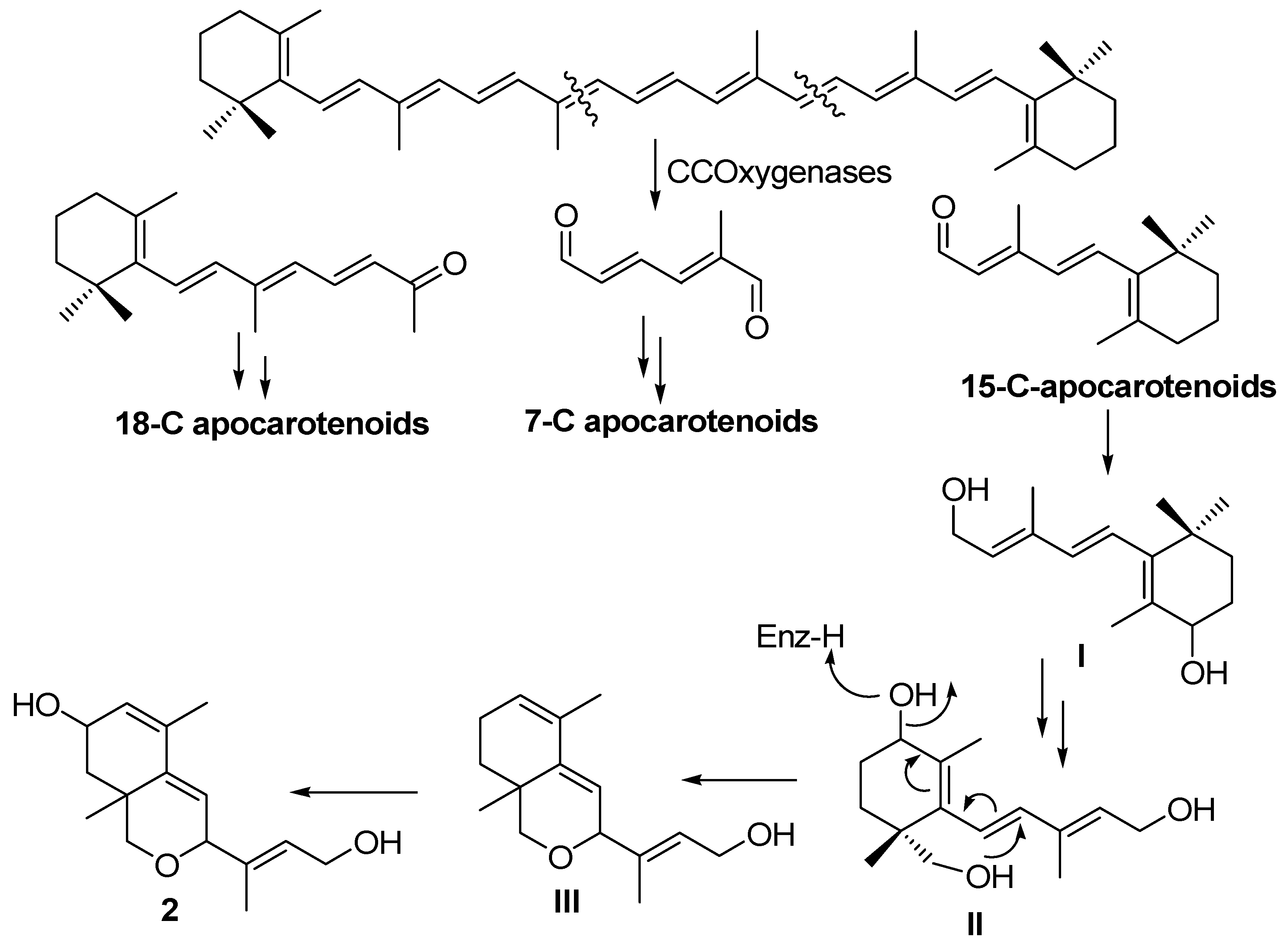 Molecules 17 12553 g005