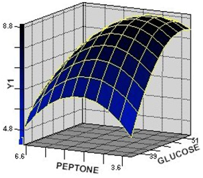 Molecules 17 12575 g001