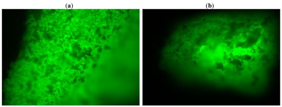 Molecules 17 13045 g006 550