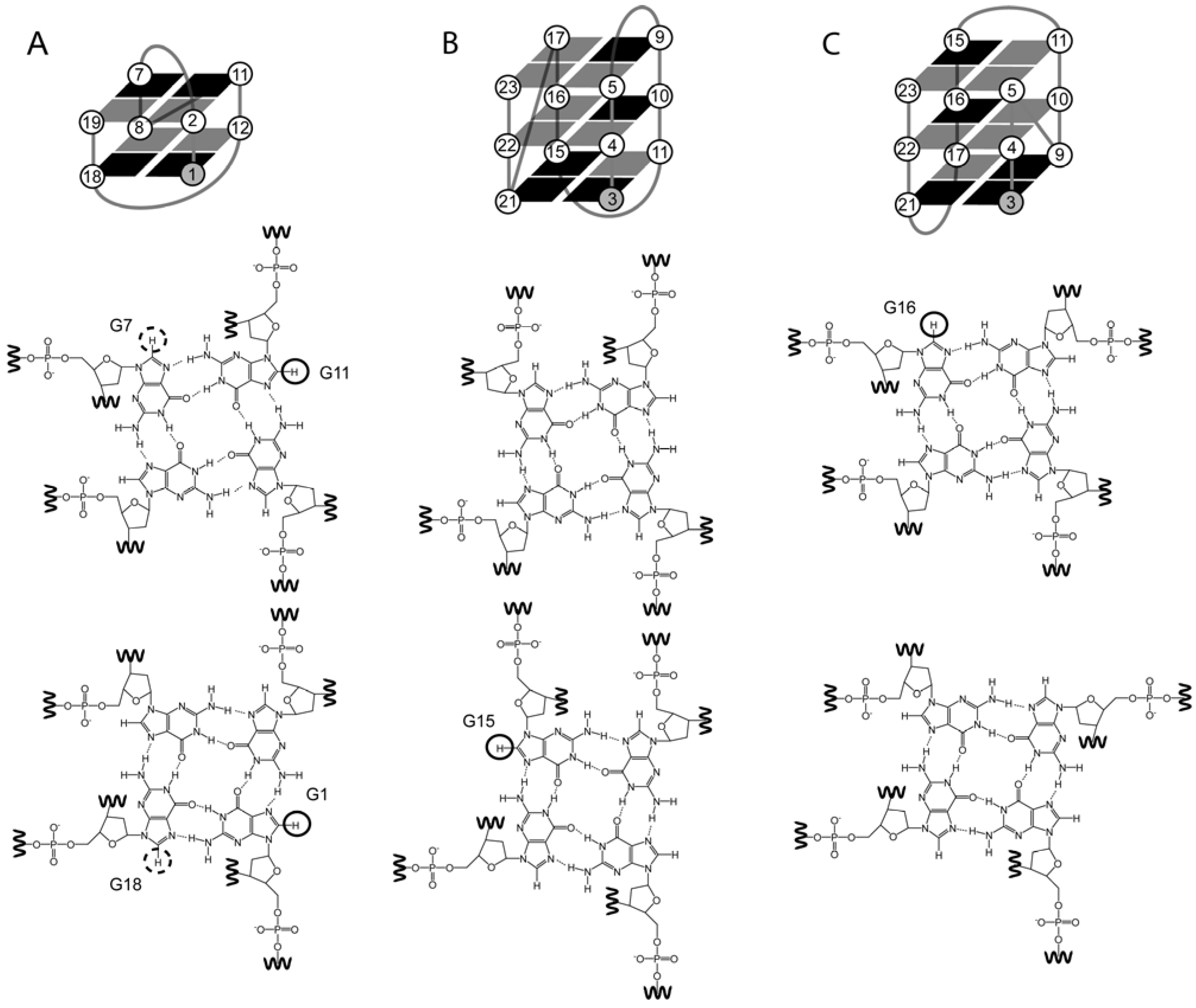 Molecules 17 13073 g003
