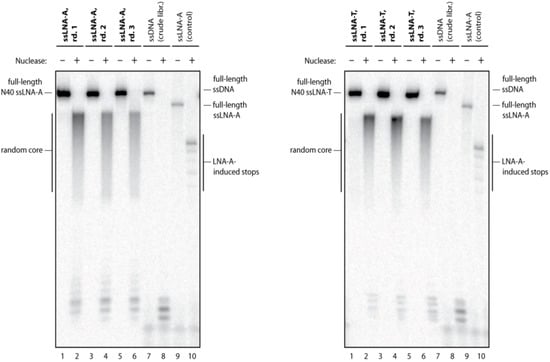 Molecules 17 13087 g002 550