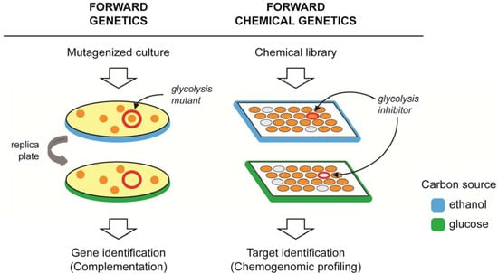 Molecules 17 13098 g001 550