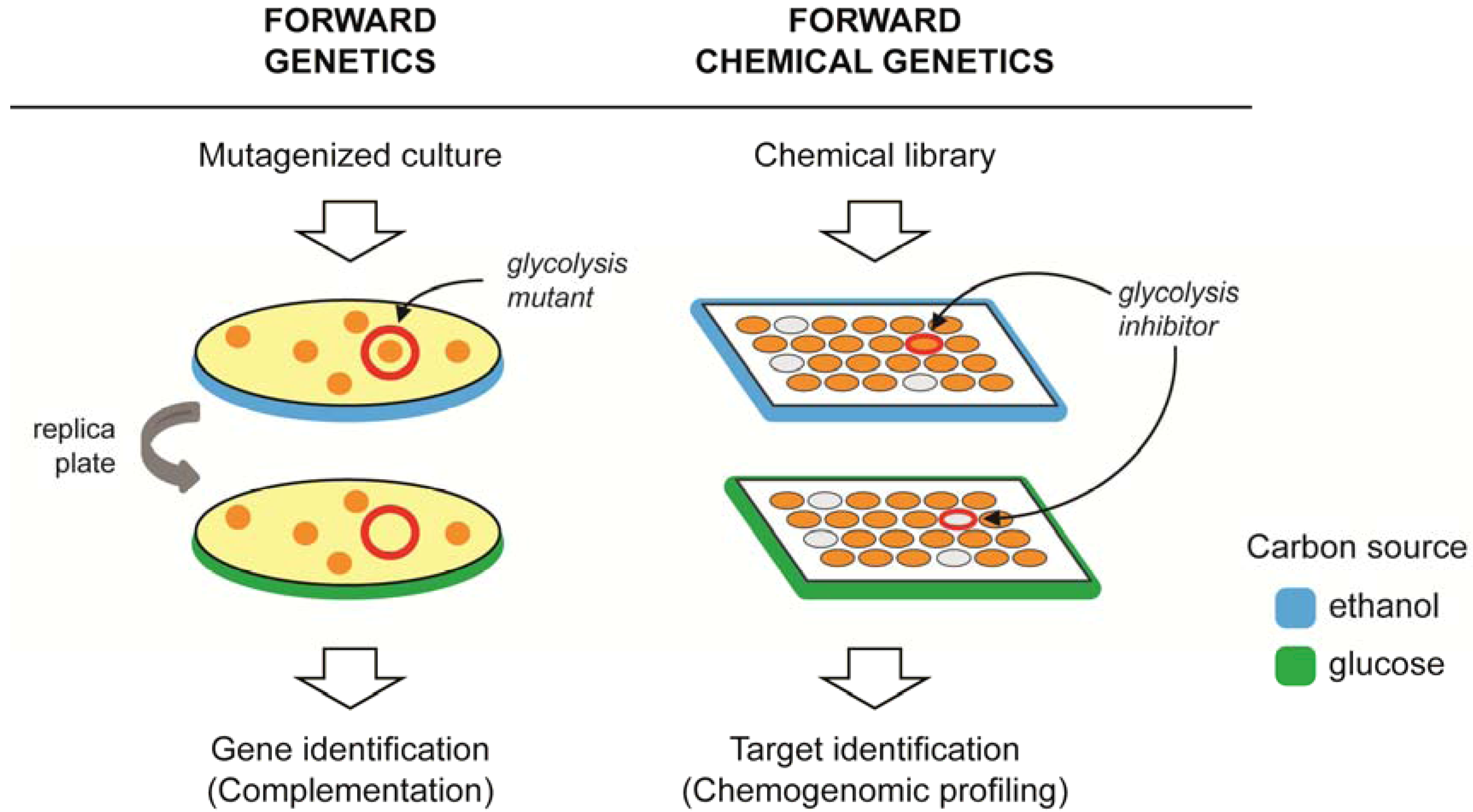 Molecules 17 13098 g001