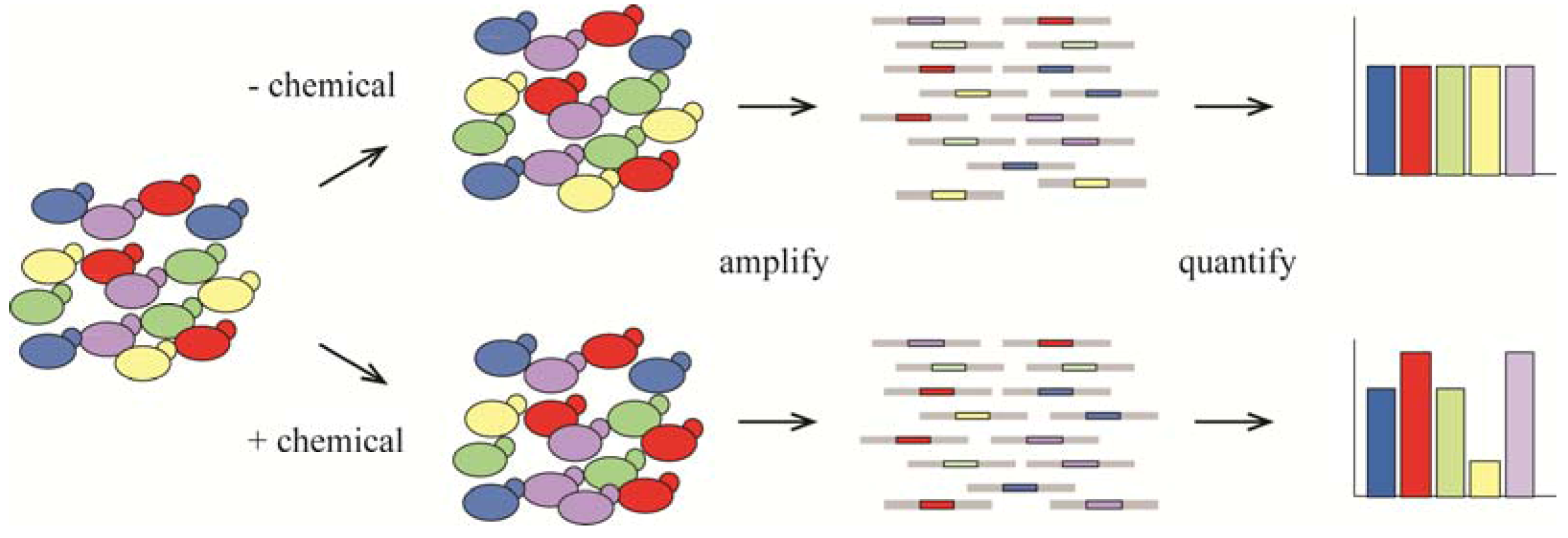 Molecules 17 13098 g002