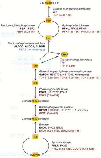Molecules 17 13098 g003 550