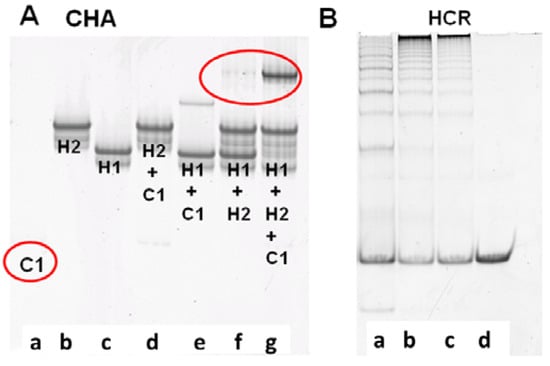 Molecules 17 13211 g001 550