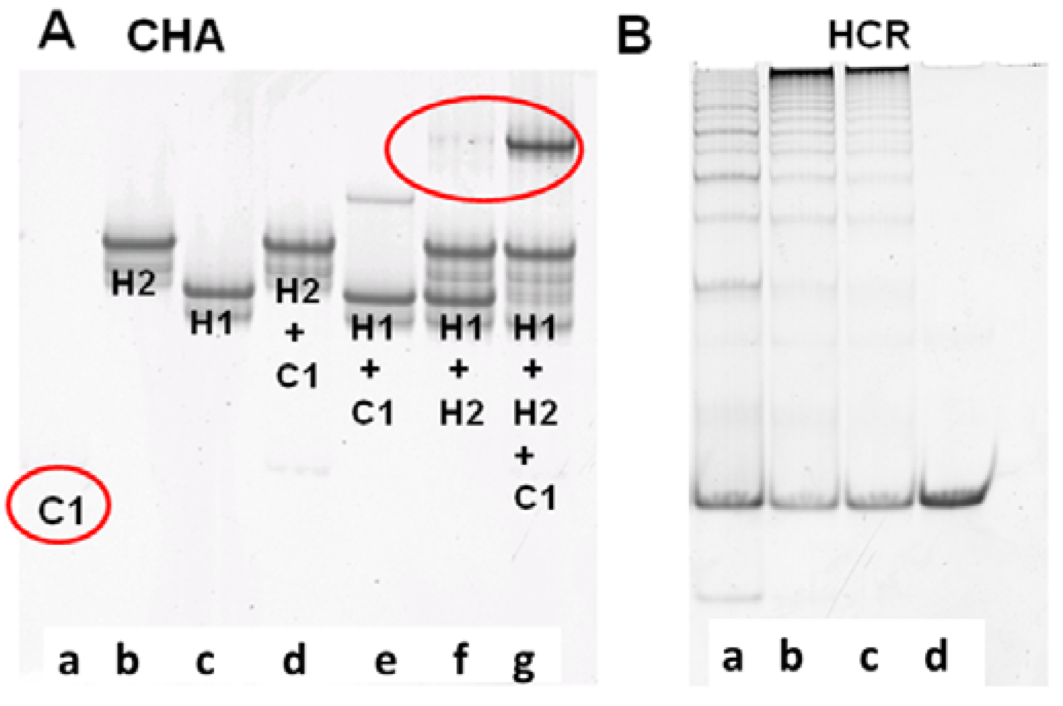 Molecules 17 13211 g001