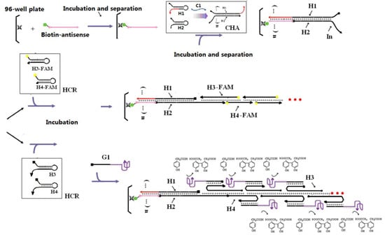 Molecules 17 13211 g005 550