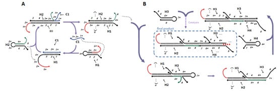 Molecules 17 13211 g006 550
