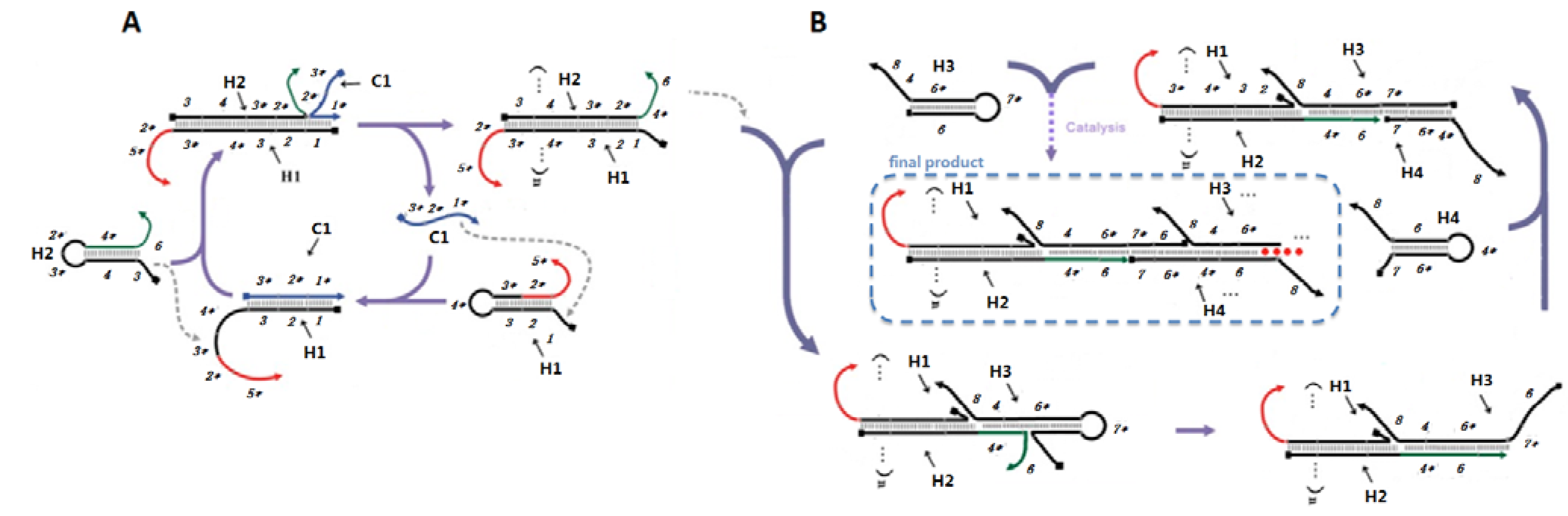 Molecules 17 13211 g006