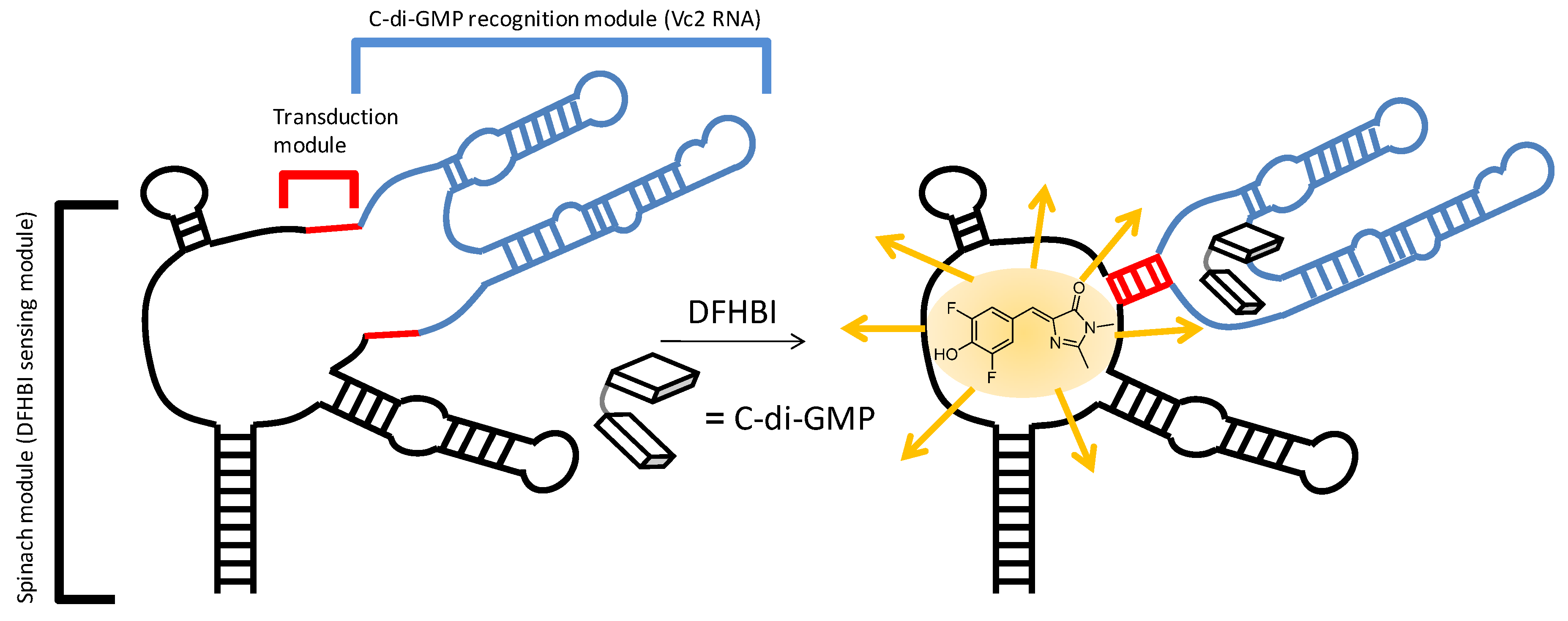 Molecules 17 13376 g005