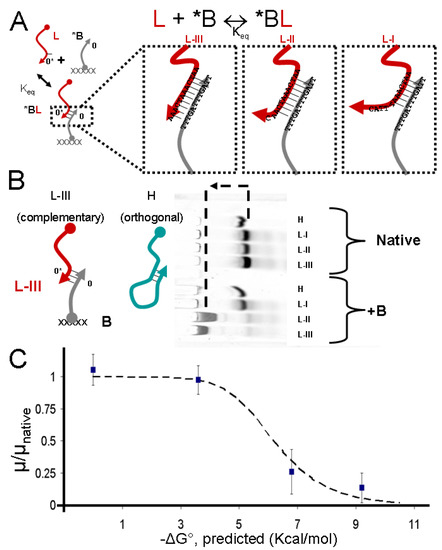 Molecules 17 13390 g001 550
