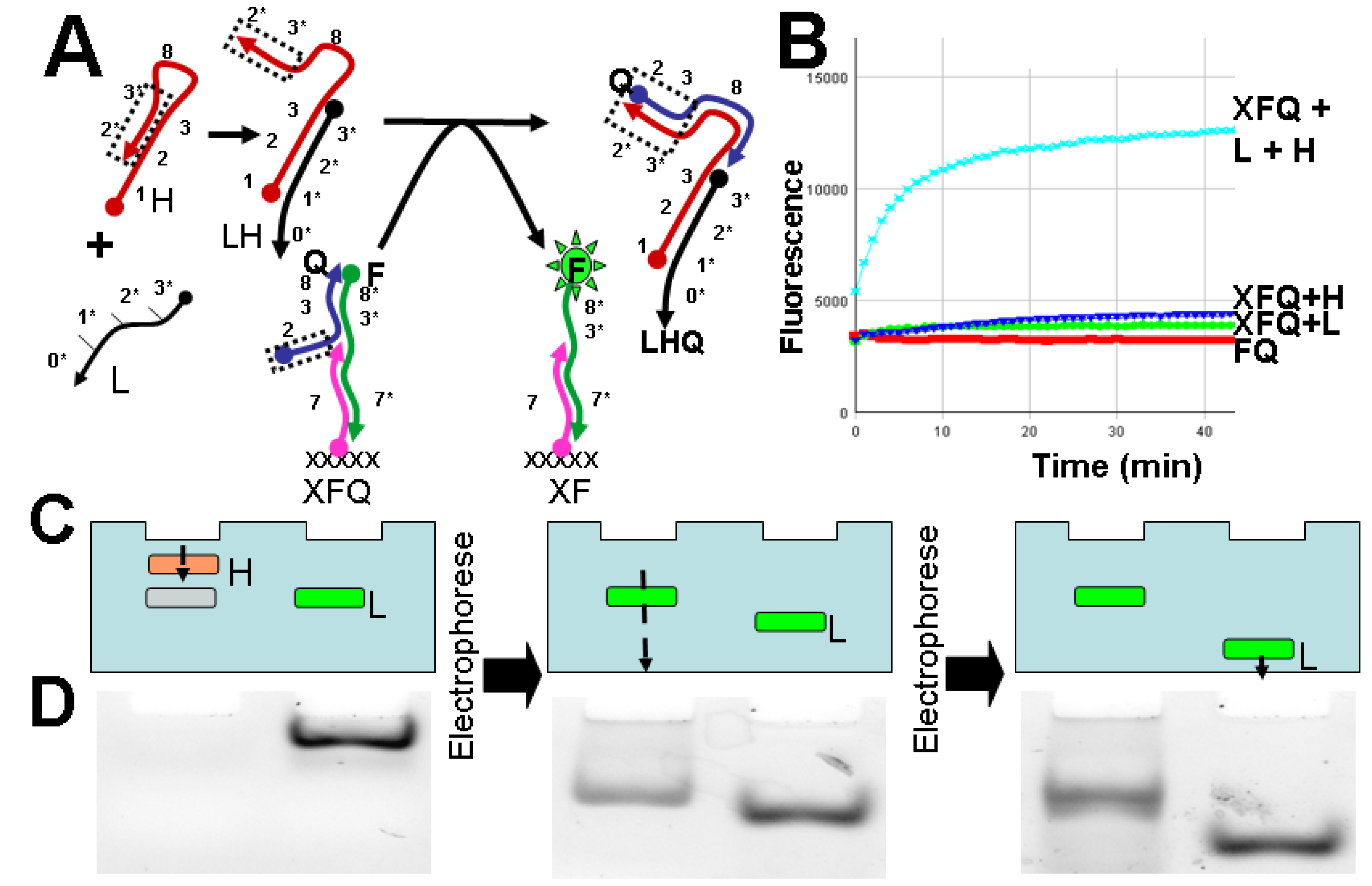 Molecules 17 13390 g002