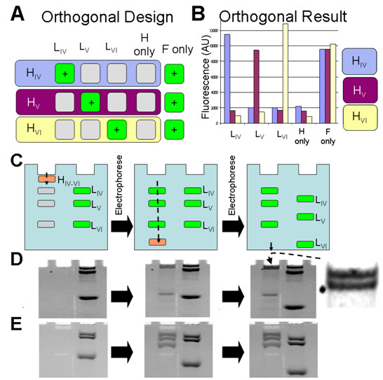 Molecules 17 13390 g003 550